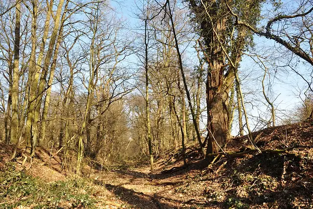 Schießplatz Dünnwald – Ruine, 10 km von Köln