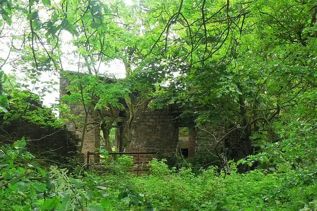 Milner Field – Ruin, 18 km from Leeds
