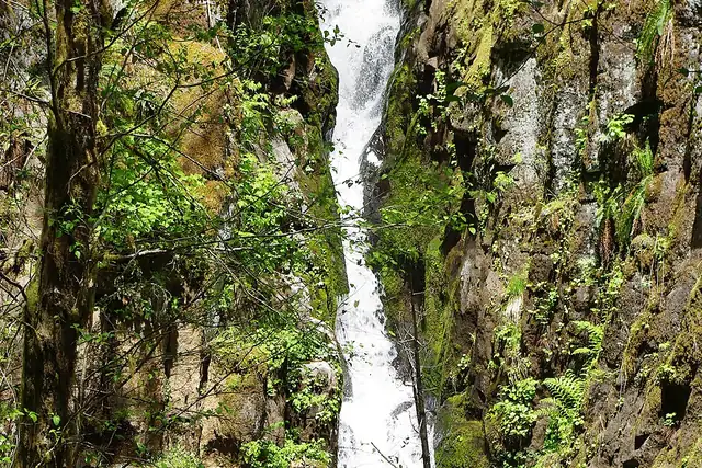 Ki-a-Kuts Falls – Wasserfall, 22 km von Forest Grove