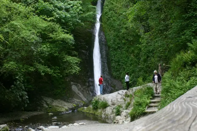 White Lady Waterfall – Waterfall, 26 km from Saltash