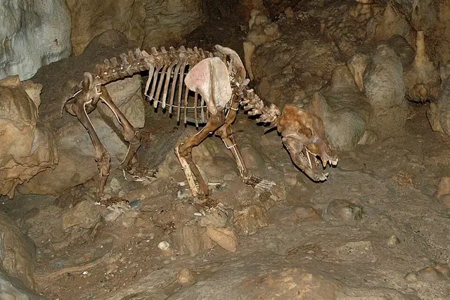 Karls- und Bärenhöhle – Cave, 10 km from Pfullingen
