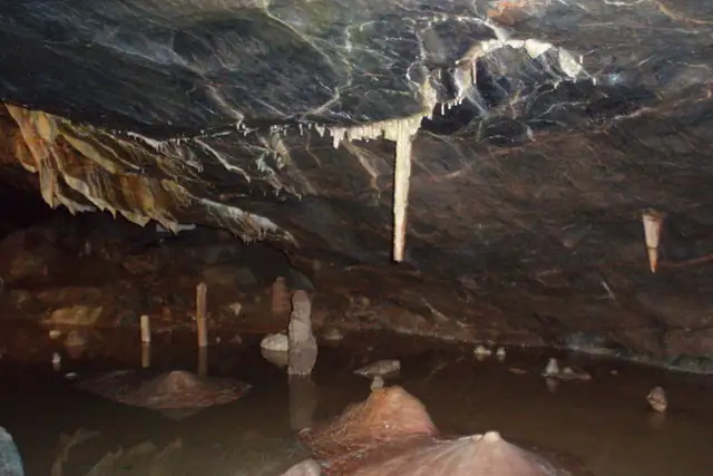 Gough's Cave – Cave, 16 km from Weston-super-Mare