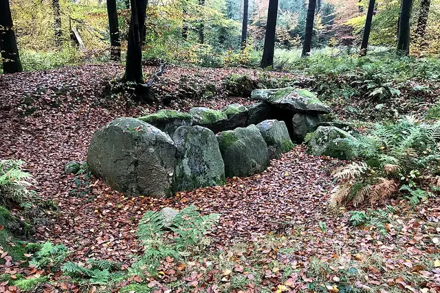 Großsteingrab Nenndorf – Megalith, 22 km von Hamburg