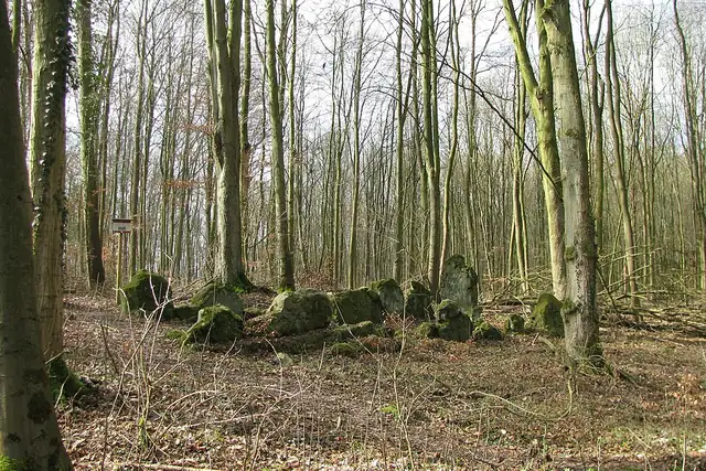 Lautariusgrab – Megalith, 6 km von Baunatal