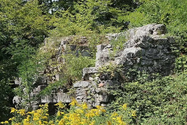 Ruine Göskon – Castle, near Olten