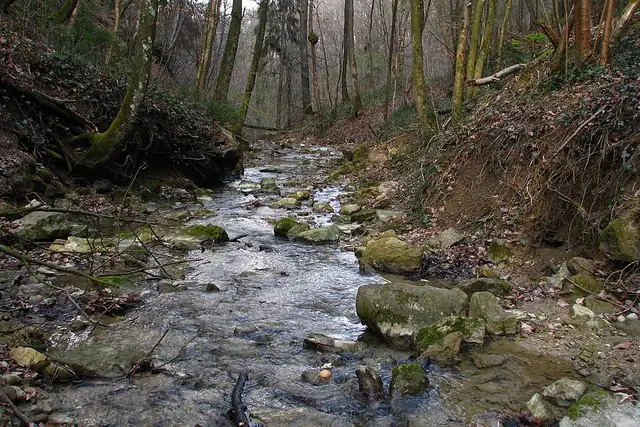 Sagentobelbachfall – Wasserfall, bei Zürich