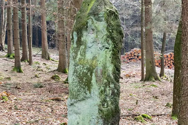 Bülheimer Großmutter – Megalith, 15 km von Marsberg