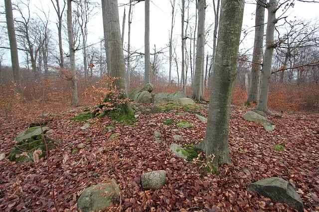 Großsteingrab Forst Suckow – Megalith, 14 km from Angermünde