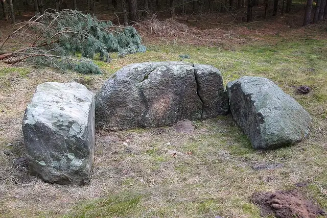Großsteingrab Wollschow 4 – Megalith, 22 km from Szczecin
