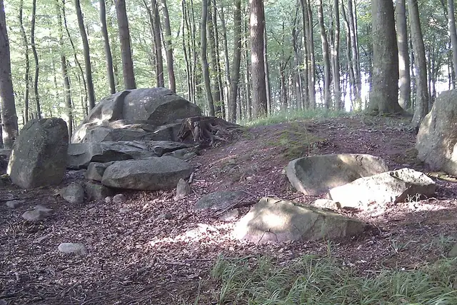 Großsteingrab Forst Poggendorf 3 – Megalith, 16 km from Universitäts- und Hansestadt Greifswald