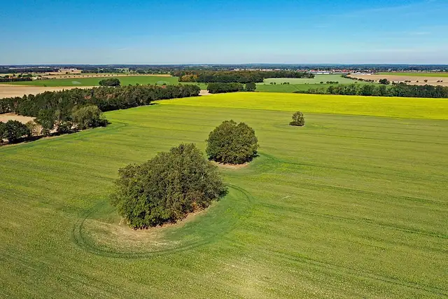 Großsteingrab Leetze 7 – Megalith, 13 km von Hansestadt Salzwedel