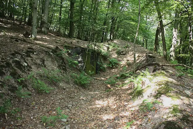 Historische 'Wache Schießstände' (Ruine) – Ruin, near Koblenz