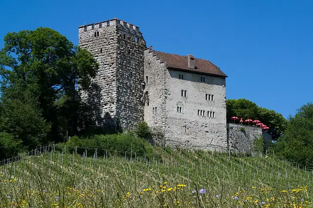 Habsburg – Castle, 9 km from Baden