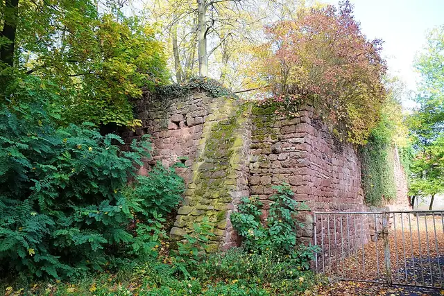 Burg Stauf – Ruin, 14 km from Bad Dürkheim