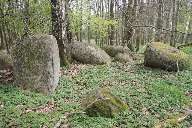 Großsteingrab Alt Stassow 2 – Megalith, 25 km from Ribnitz-Damgarten