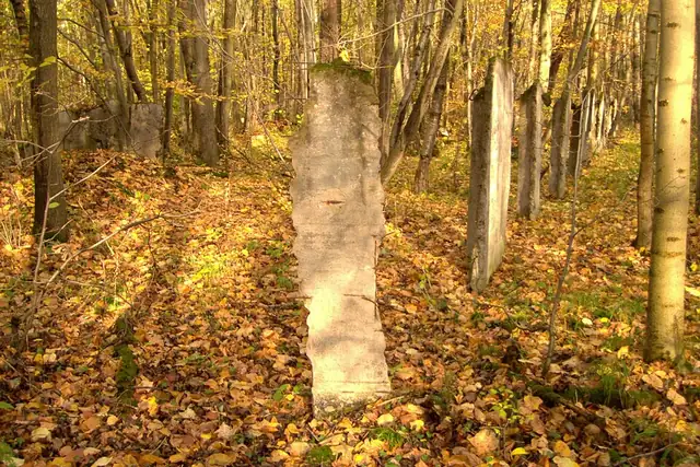 Ruinen eh. Gerätebau – Ruine, bei Mühlhausen
